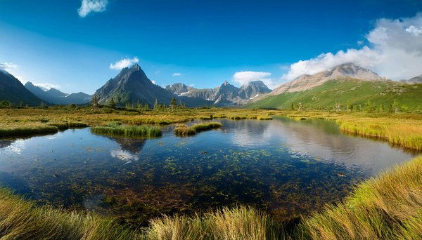 Où pratiquer le snorkeling au milieu des raies manta à Hawaii ?